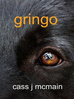 cover image of Gringo